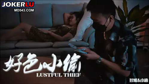 69FILMS1046 好色的小偷 69传媒