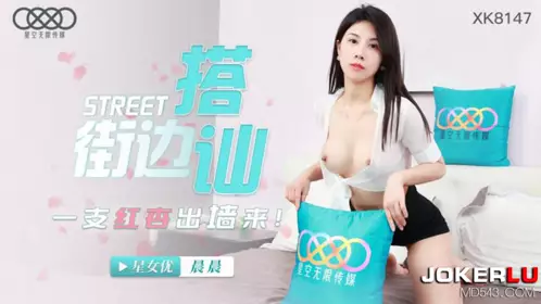 XK8147 晨晨 街头搭讪一只红杏出墙来 星空无限传媒